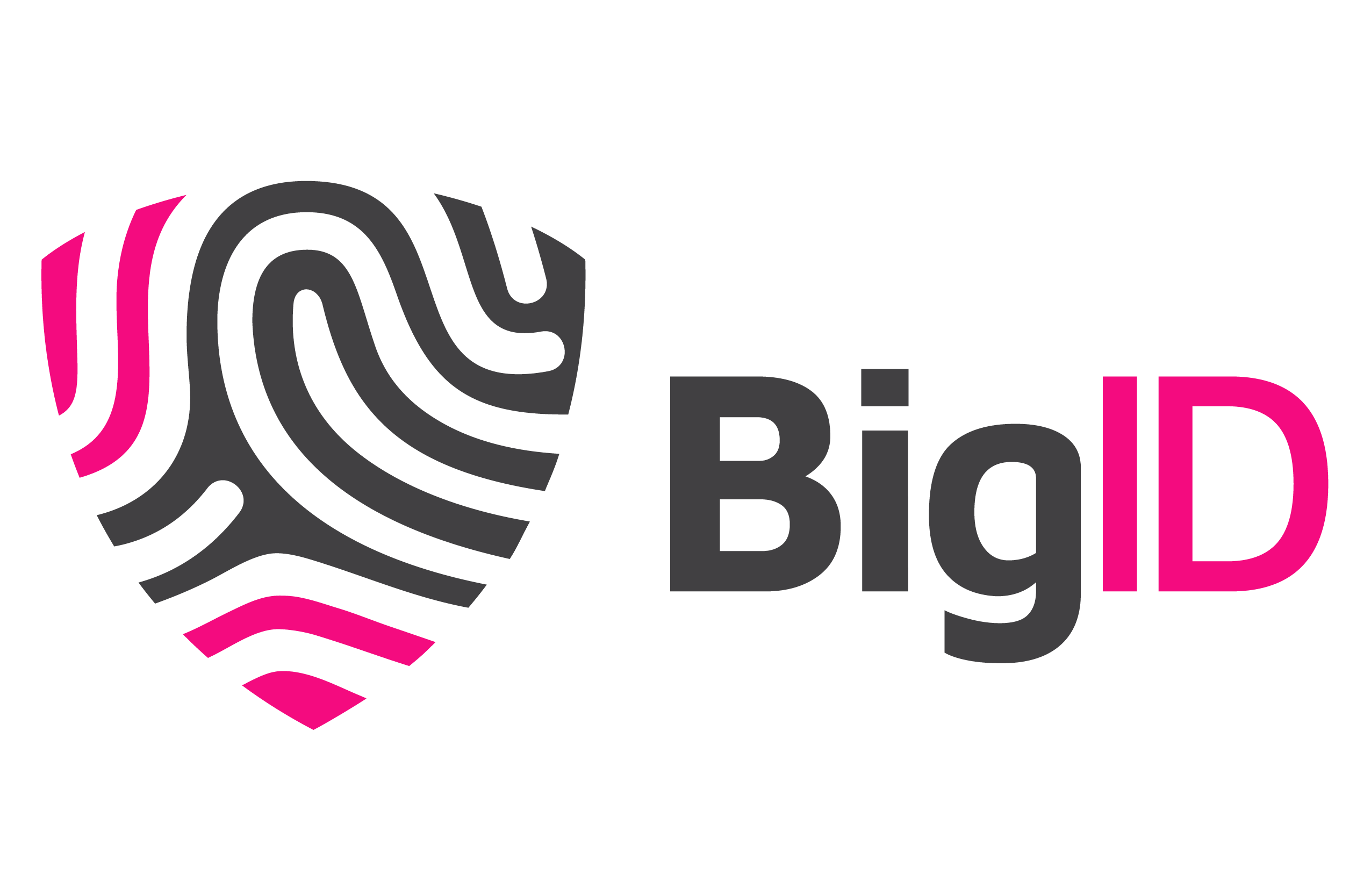 Logo_BigID Gray-Pink Horizontal